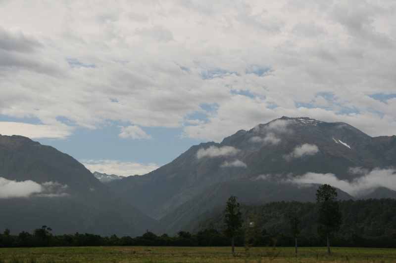 Nieuw-Zeeland 2011 - 1403